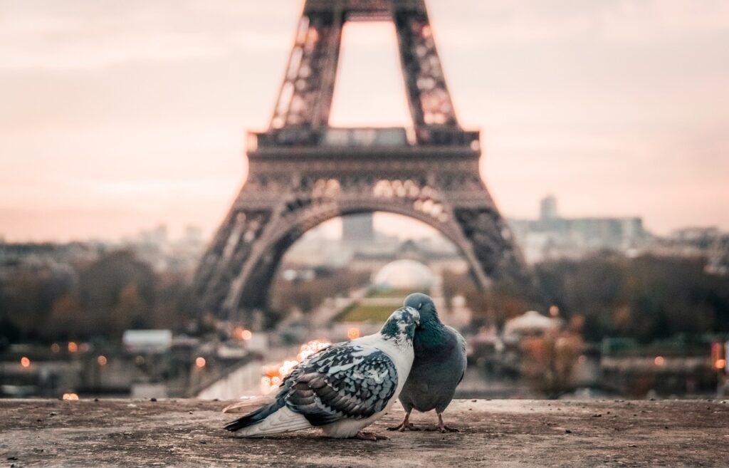 Savais-tu que la Tour Eiffel a failli être démolie ?